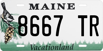 ME license plate 8667TR