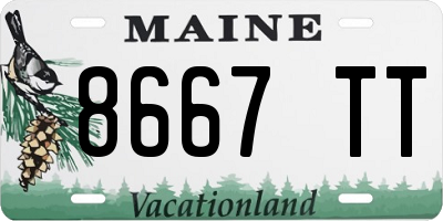 ME license plate 8667TT