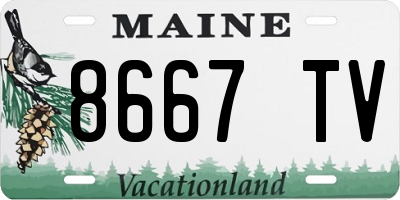 ME license plate 8667TV