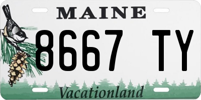 ME license plate 8667TY