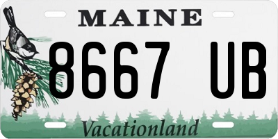 ME license plate 8667UB