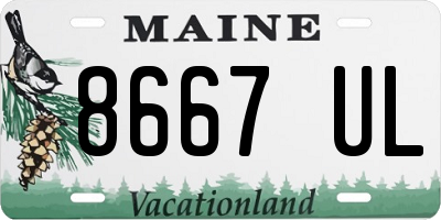 ME license plate 8667UL