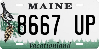 ME license plate 8667UP