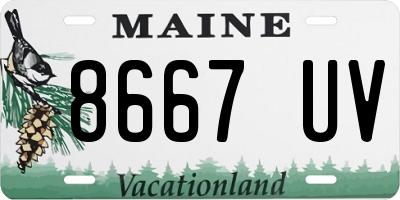 ME license plate 8667UV