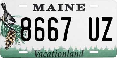 ME license plate 8667UZ