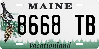 ME license plate 8668TB