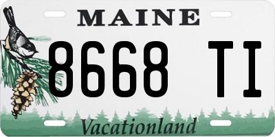 ME license plate 8668TI