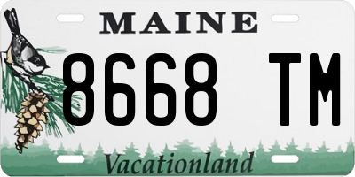ME license plate 8668TM