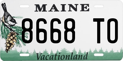 ME license plate 8668TO