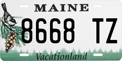 ME license plate 8668TZ