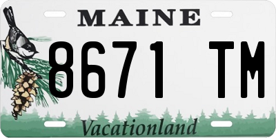 ME license plate 8671TM