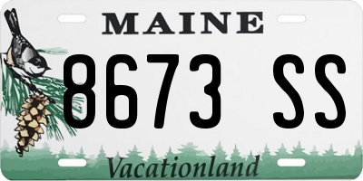 ME license plate 8673SS