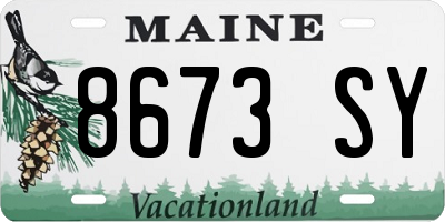 ME license plate 8673SY