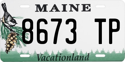 ME license plate 8673TP