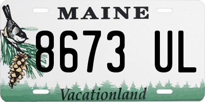 ME license plate 8673UL