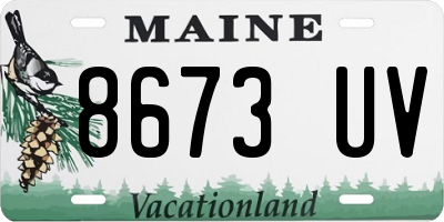 ME license plate 8673UV