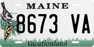 ME license plate 8673VA