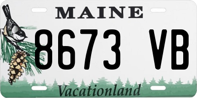 ME license plate 8673VB