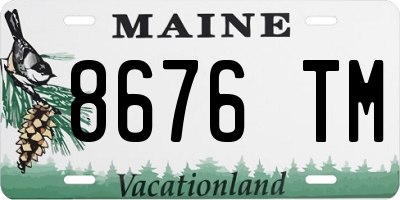 ME license plate 8676TM