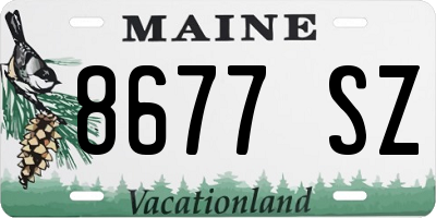 ME license plate 8677SZ