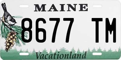 ME license plate 8677TM