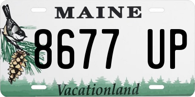 ME license plate 8677UP