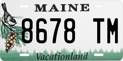ME license plate 8678TM
