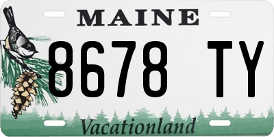 ME license plate 8678TY