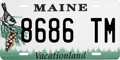 ME license plate 8686TM