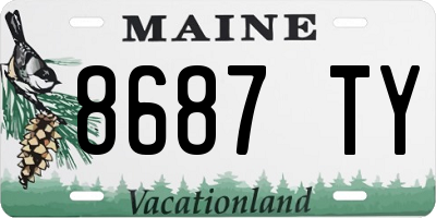 ME license plate 8687TY