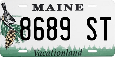 ME license plate 8689ST