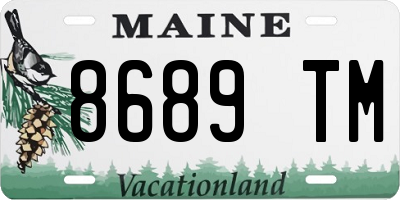 ME license plate 8689TM