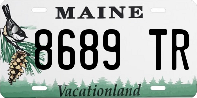 ME license plate 8689TR