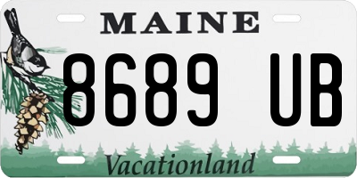 ME license plate 8689UB