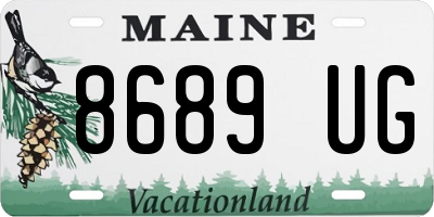 ME license plate 8689UG