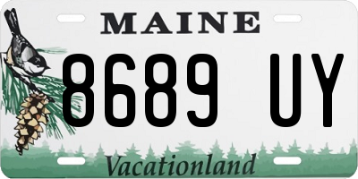 ME license plate 8689UY