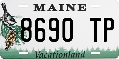 ME license plate 8690TP