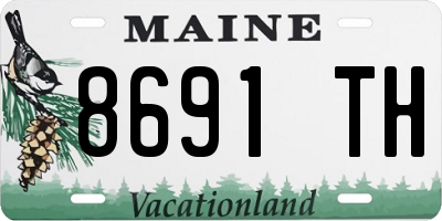ME license plate 8691TH