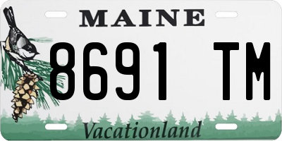 ME license plate 8691TM