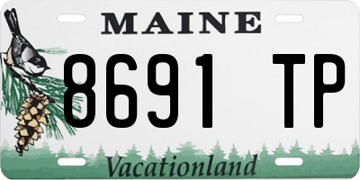 ME license plate 8691TP