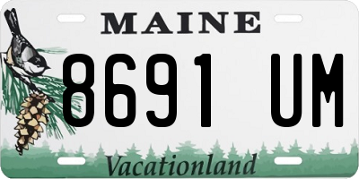 ME license plate 8691UM
