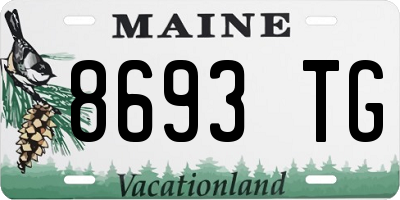 ME license plate 8693TG