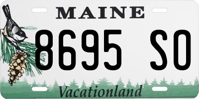 ME license plate 8695SO
