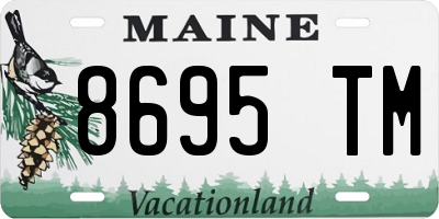 ME license plate 8695TM