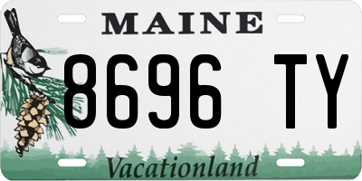 ME license plate 8696TY