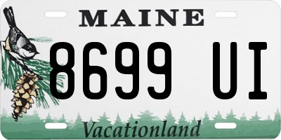 ME license plate 8699UI