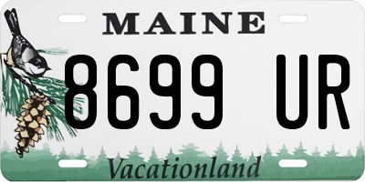 ME license plate 8699UR