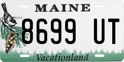 ME license plate 8699UT