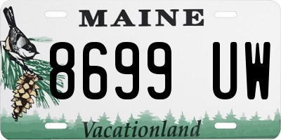 ME license plate 8699UW