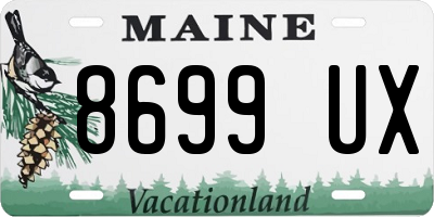 ME license plate 8699UX